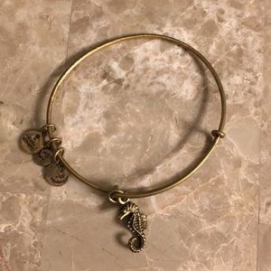 Alex and Ani seahorse charm bracelet